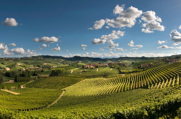 ANFITEATRO-CORDERO-Barbaresco-2019