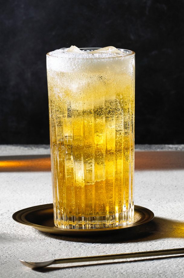 Highball cocktails recipes to make at residence inside.pub