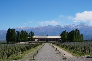 A winery building between trees with mountains and blue sky in the background