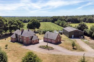 Sealwood Cottage farm with English vineyard goes on sale