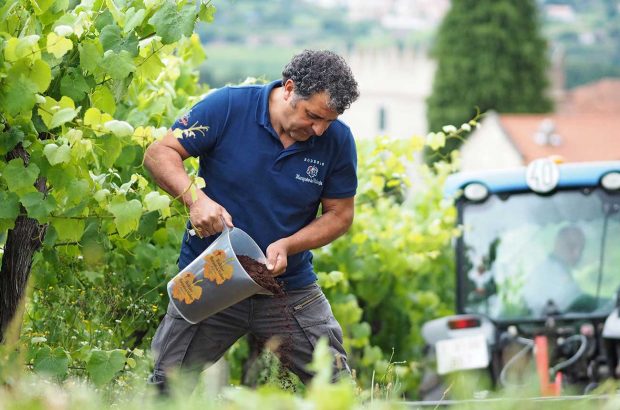 Bodegas Marqués de Vizhoja