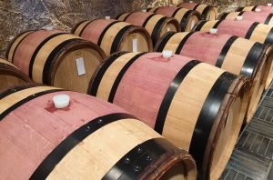 Barolo-en-primeur-2022-barriques