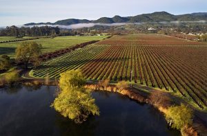 California Sustainability