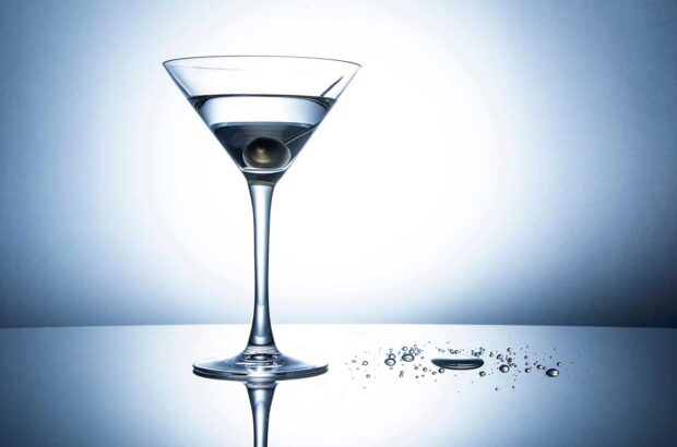 Best Vodka for Martini