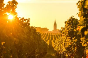 St-Emilion vineyards