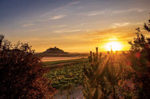 Ribera del Duero vintages