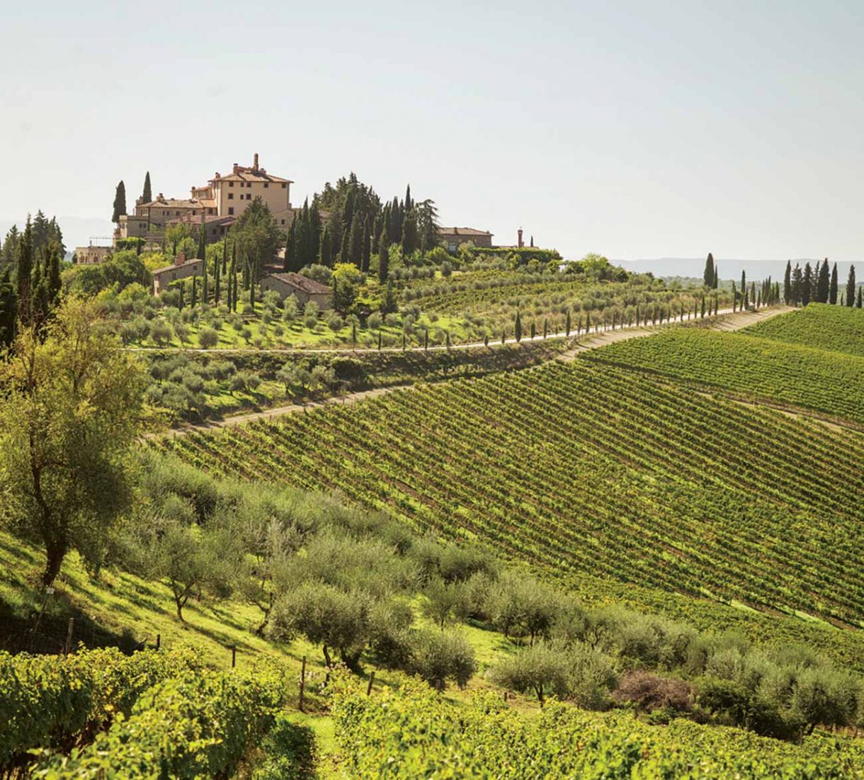 Chianti Classico: The Unità Geografiche Aggiuntive - Decanter