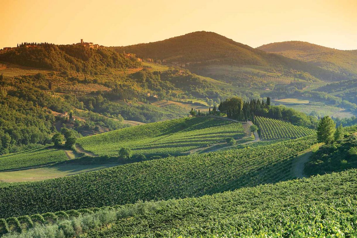 Chianti Classico The Unità Geografiche Aggiuntive Decanter