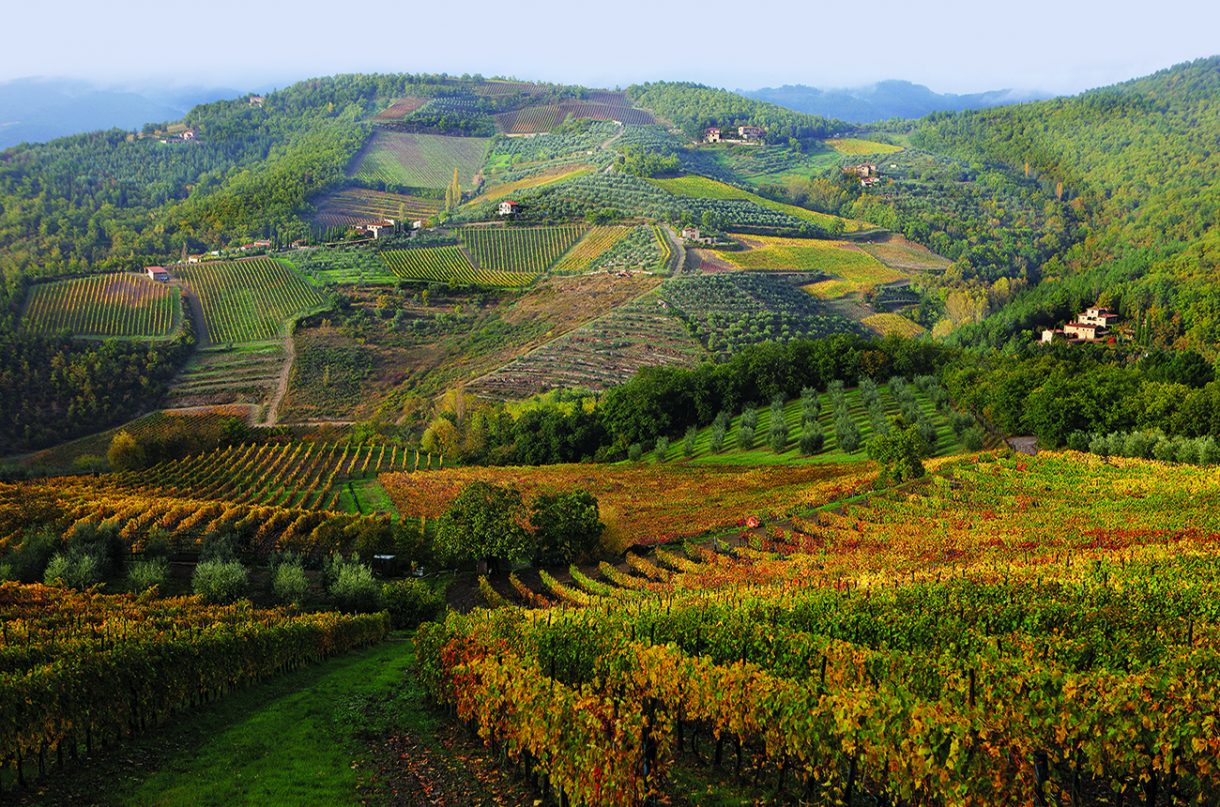 Chianti Classico: The Unità Geografiche Aggiuntive - Decanter