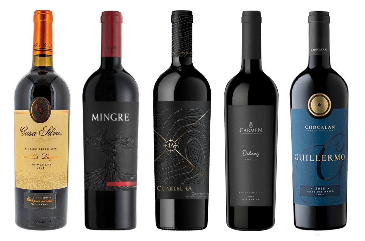 International Carmenère Day 15 awardwinning wines to discover Decanter