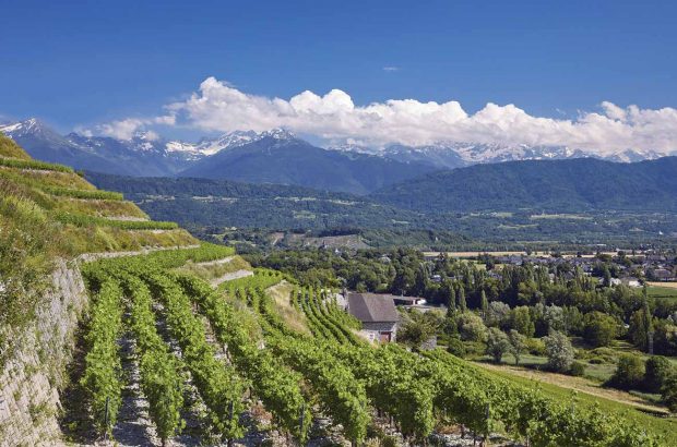 Savoie wines