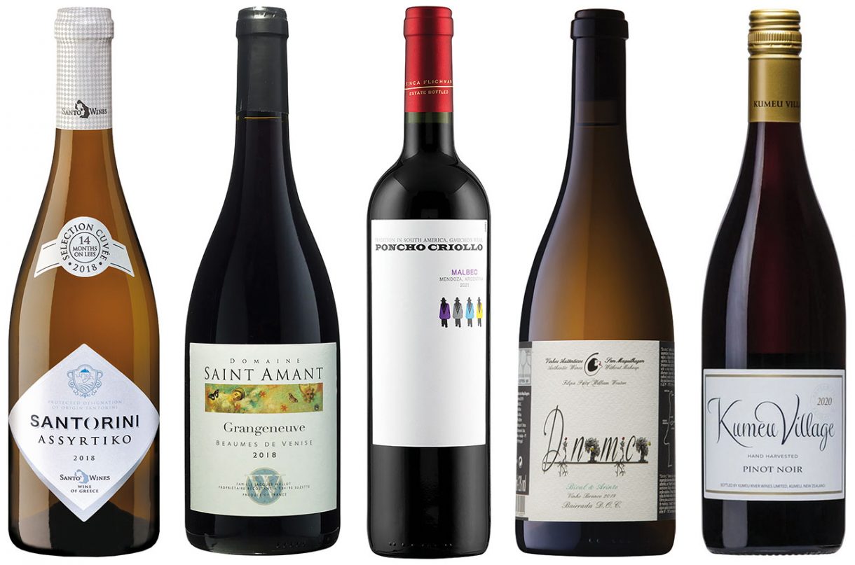 Wines for the week November 2022 Decanter