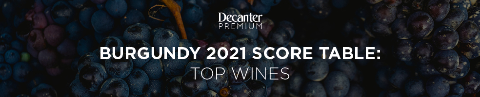 burgundy 2021 top wines