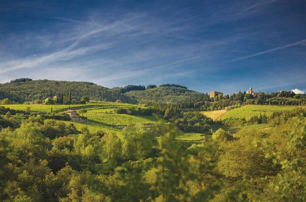Chianti Classico guide
