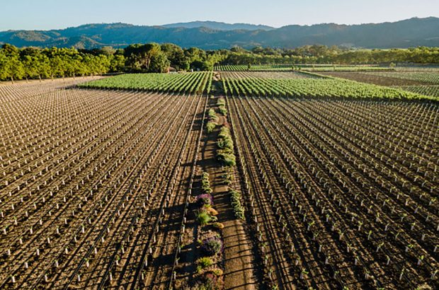 Favia wines to move to Oakville estate in Napa Valley