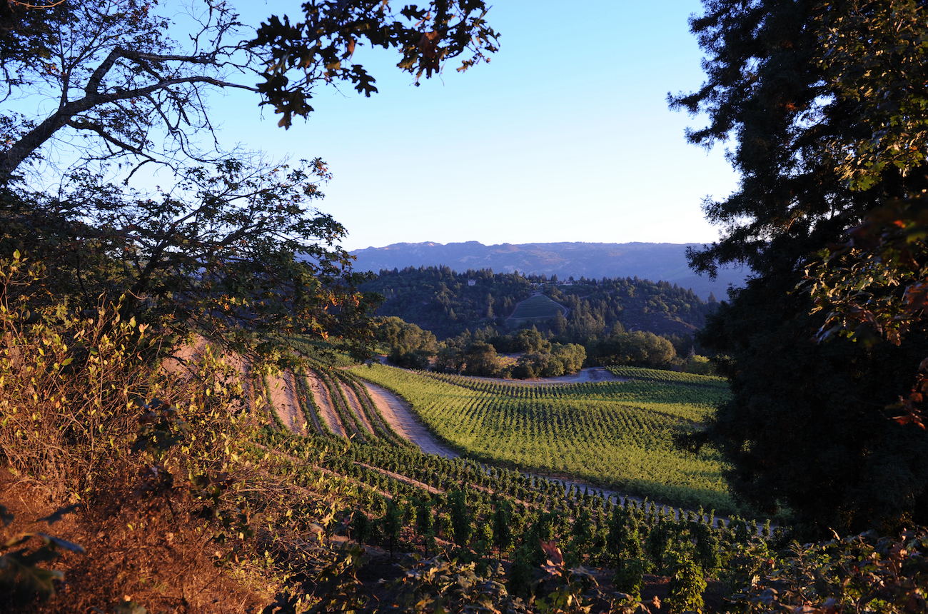 Spring Mountain Vineyard producer profile & 10 wines to try Decanter