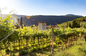 Montefioralle, Greve in Chianti, Italy