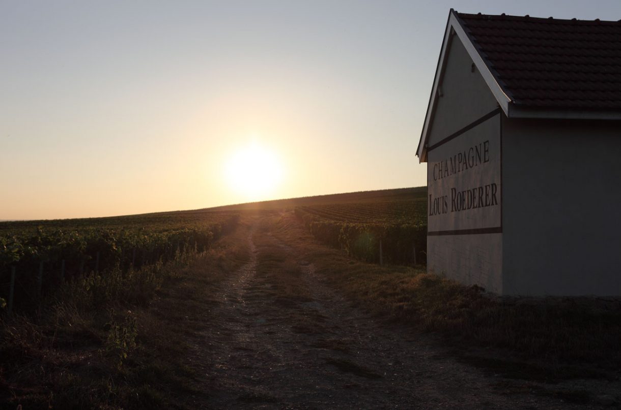 Join Decanter’s Louis Roederer masterclass in New York Decanter
