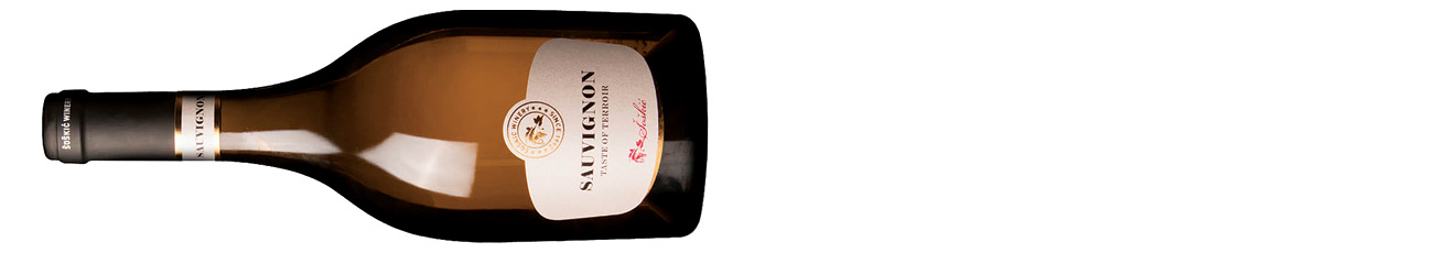 Dvorska Šoškić, Taste of Terroir Sauvignon, Plešivica 2021