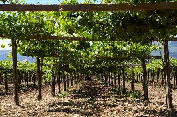 Finca Arantei, Bodegas La Val