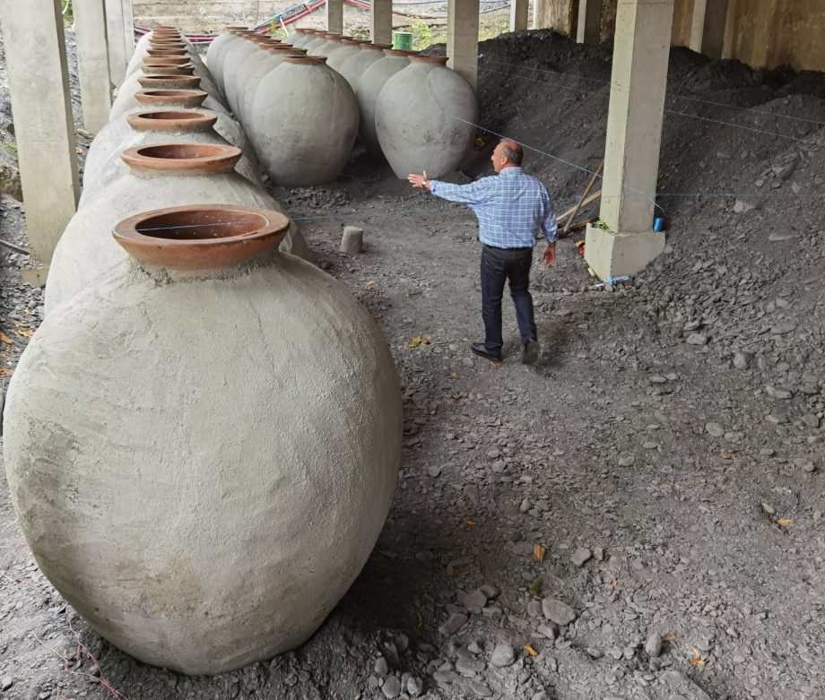 Qvevri wines from A winemaking story and 12 wines to try