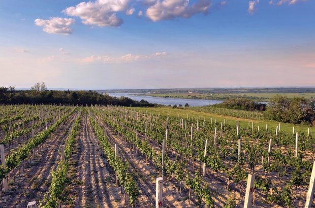 Serbia wine regions