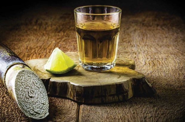 Aguardiente in a glass