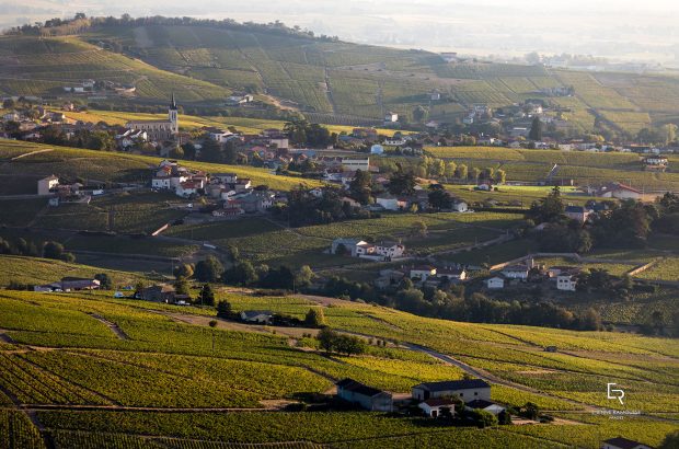 Fleurie vineyards in Beaujolais