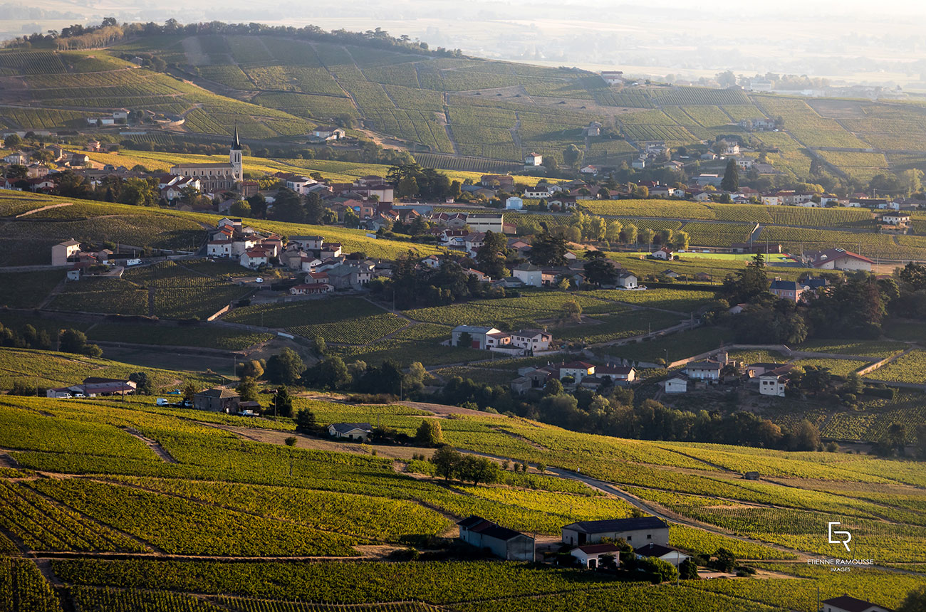 Fleurie-vineyards-Beaujolais-photo-credit-etienne-ramousse-inter-beaujolais.jpg