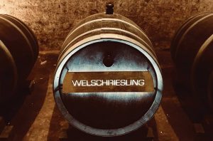 Welschriesling barrel