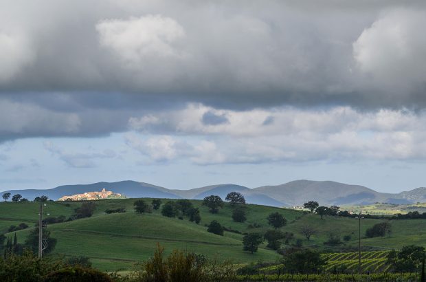 A view to Montiano in Maremma, Tuscany