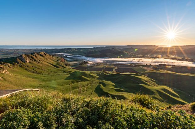 Te Mata Peak in Hawke's Bay