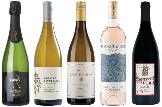 wines for the week June 2023