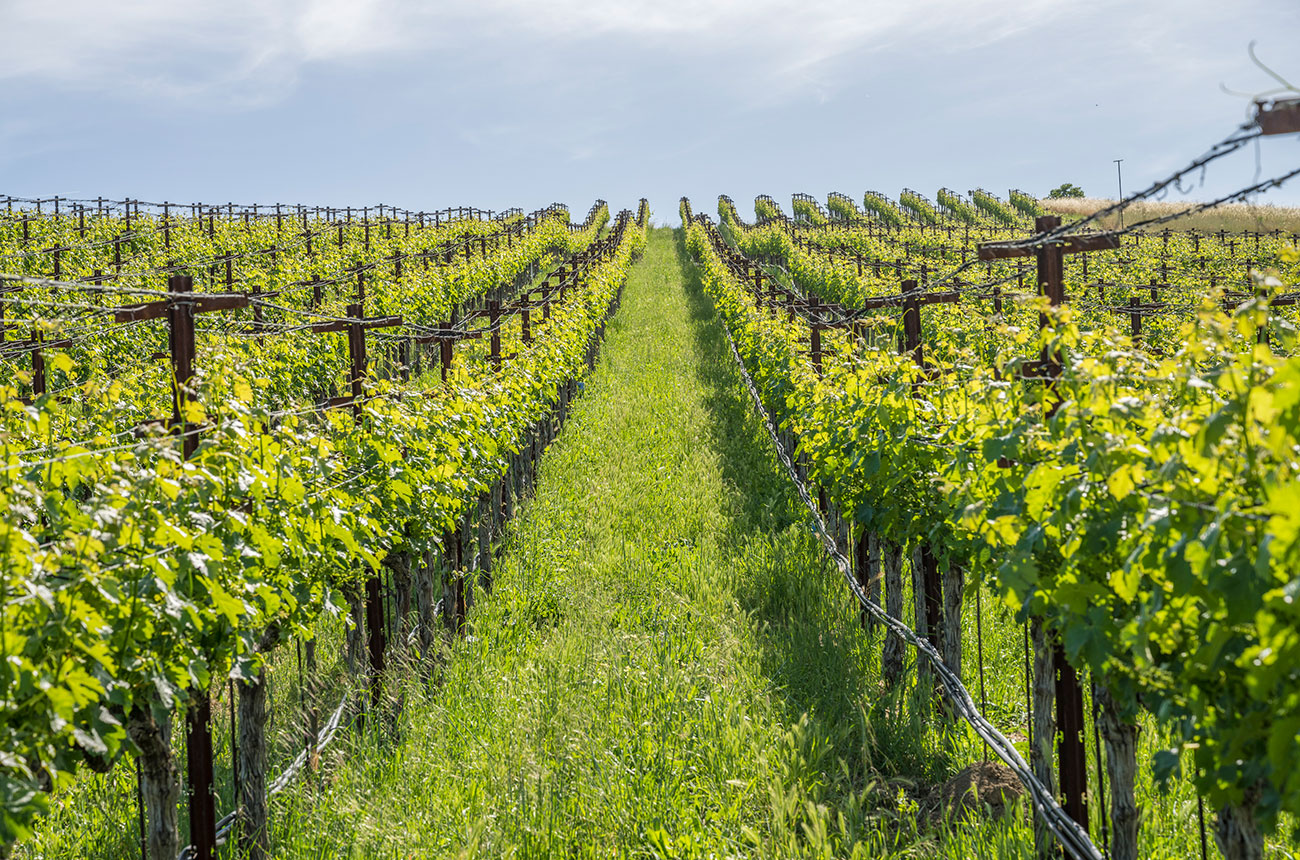 Luxury Napa wine country home hits market at 25m Decanter