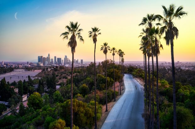 Image of Los Angeles skyline