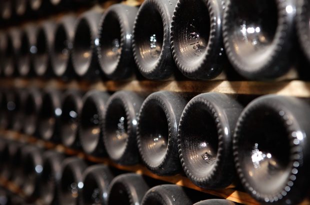 Cava bottles in a cellar