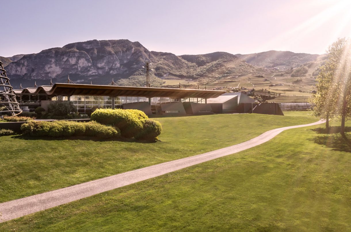 Mezzacorona – Sustainability as a way of being - Decanter