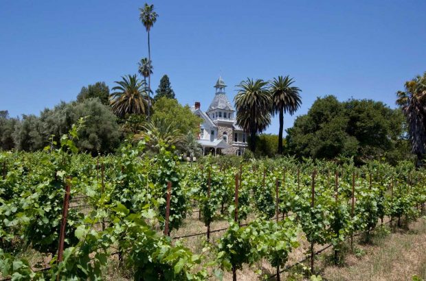 Spring Mountain Vineyard