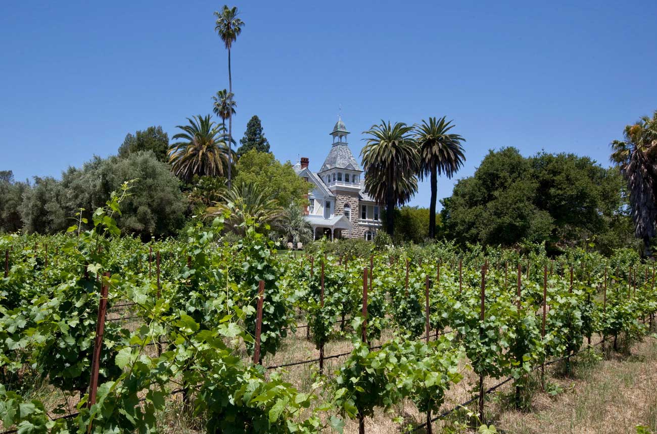 Napa New Spring Mountain Vineyard owner plans major renovation Decanter