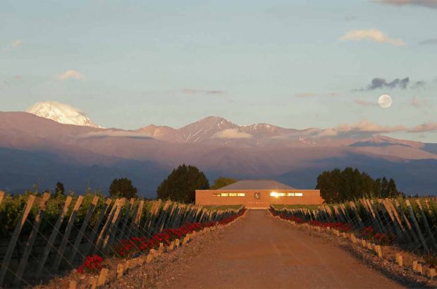 Sophenia winery in Gualtallary in the Uco Valley, Mendoza