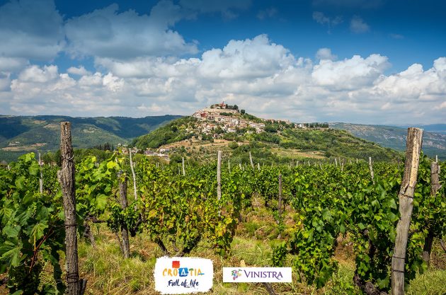 Motovun Village with an old vineyard of Teran vines.