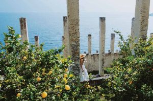 Lemon trees at Lake Garda, Italy