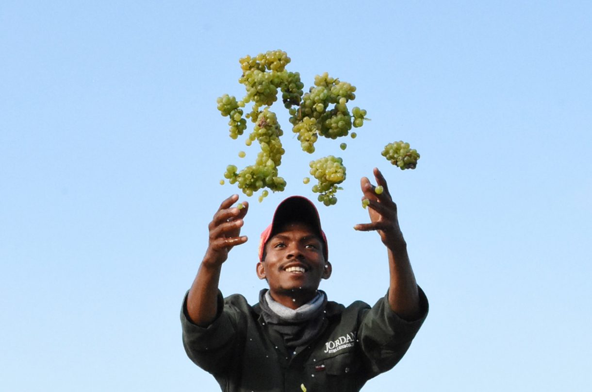 PIWOSA producer profile Jordan Wine Estate Decanter