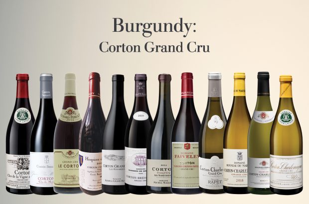 Burgundy: Corton Grand Cru Masterclass