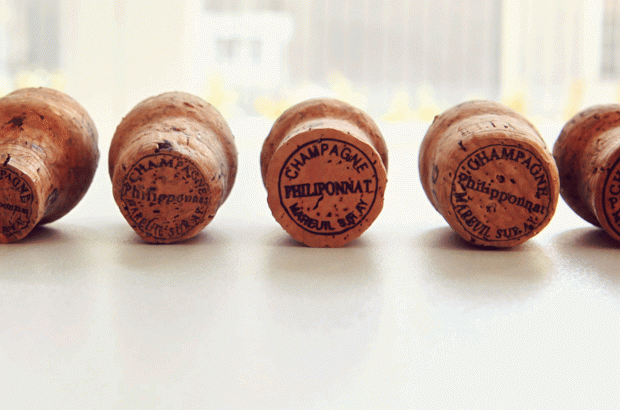 Clos des Goisses 2014