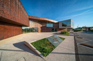 Vendemmia in vigneto Val d'Oca 2021-3 Copia