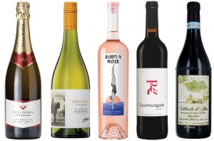 wines for the week October 2023