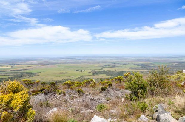 Fynbos near Napier inSouth Africa