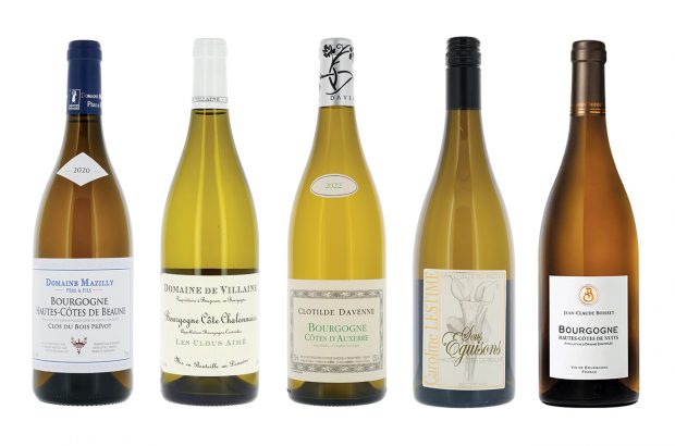 Bourgogne_Blanc_Bottles