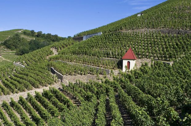 Côte-Rôtie & Condrieu 2022